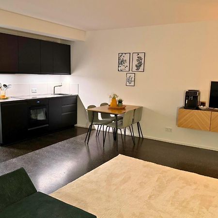 Isaak Apartment Stadtperle Waldshut-Tiengen Esterno foto