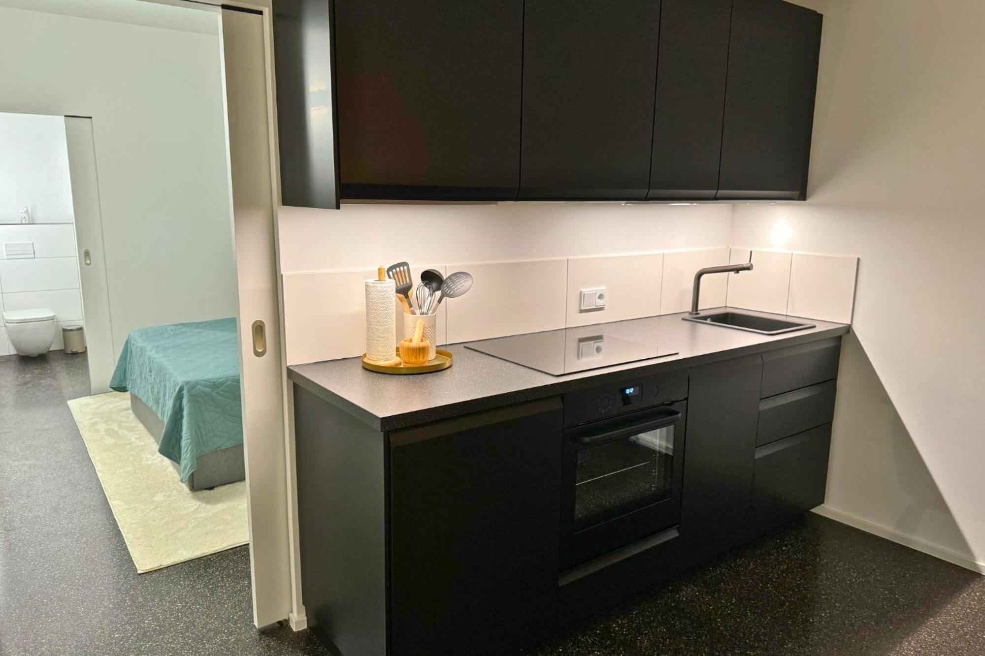 Isaak Apartment Stadtperle Waldshut-Tiengen Esterno foto